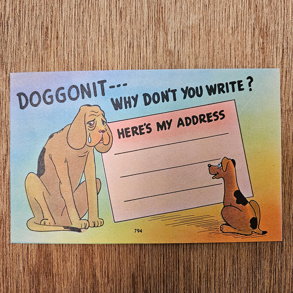 Ephemera - Carte Postale Vintage - Doggonit --- Why Don't You Write
