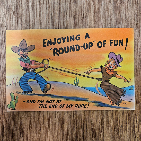 Ephemera - Carte Postale Vintage - Enjoying A Round-Up Of Fun !