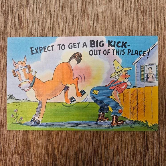 Ephemera - Carte Postale Vintage - Expect To Get A Big Kick