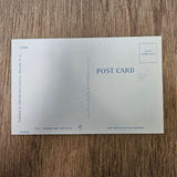 Ephemera - Carte Postale Vintage - First Night In The Country - Dos