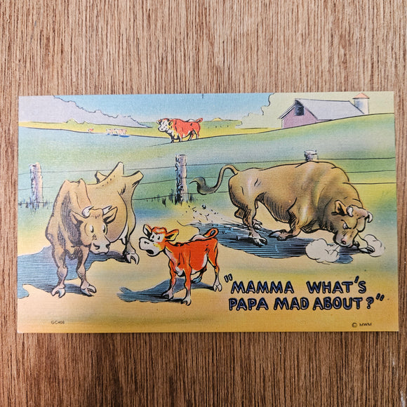 Ephemera - Carte Postale Vintage - Mamma, What's Papa Mad About