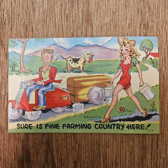 Ephemera - Carte Postale Vintage - Sure Is Fine Farming Country Here !
