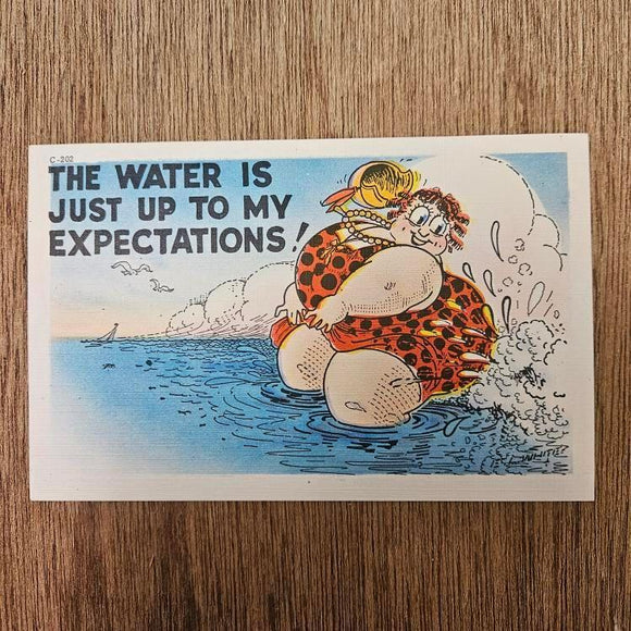 Ephemera - Carte Postale Vintage - The Water Is Just Up To My Expectations !