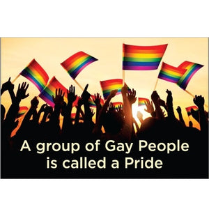 Aimant "A Group Of Gay People Is Called A Pride''