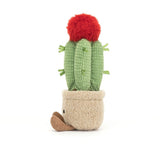Jelly Cat-Amusable Cactus Lune Cote