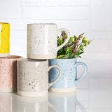 Abbot - Tasse Picot Speckled Mug Set Ensemble 3