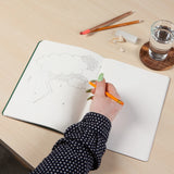 Danica Studio Sketchbook Cahier Esquisse Curio 5