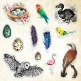 Peter Pauper Press Loads Of Ephemera Sticker Books Livre Autocollants Oiseaux