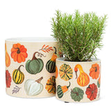 Abbott - Petite Jardinière - Courges - Lifestyle