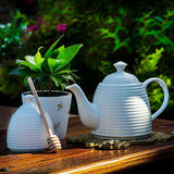 Abbott - Theiere ruche d'abeille - Blanc