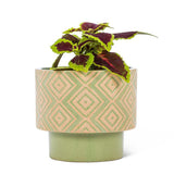 Abbott Collection-Cache-Pot T-Shaped-Vert Avec Plante