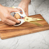 Abbott Ciseaux de Cuisine Polyvalents