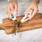 Abbott Ciseaux de Cuisine Polyvalents