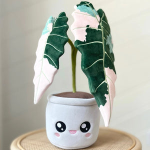 Blushiez-Peluche Alocasia Amazonica