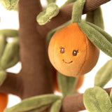 Bukowski Bears - Plante - Oranger - Close Up