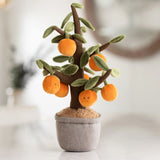 Bukowski Bears - Plante - Oranger - Lifestyle