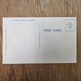 Ephemera - Carte Postale Vintage - Expect To Get A Big Kick - Dos