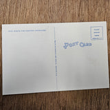 Ephemera - Carte Postale Vintage - I'm Out On A H... Of A Time ! - Dos