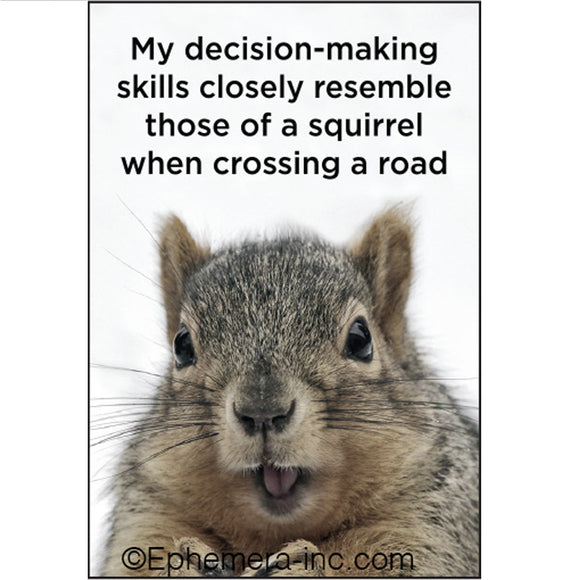 Ephemera Aimant À Frigo My Decision Making Skills Closely Resemble Those Of A Squirrel When Crossing A Road Fridge Magnet