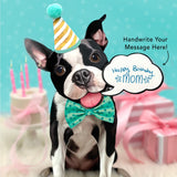 Fresh Paper Cut Carte Boston Terrier