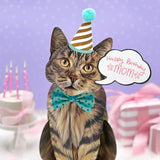 Fresh Paper Cut Brown Tabby Cat Card