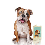 Fresh Paper Cut English Bulldog Card
