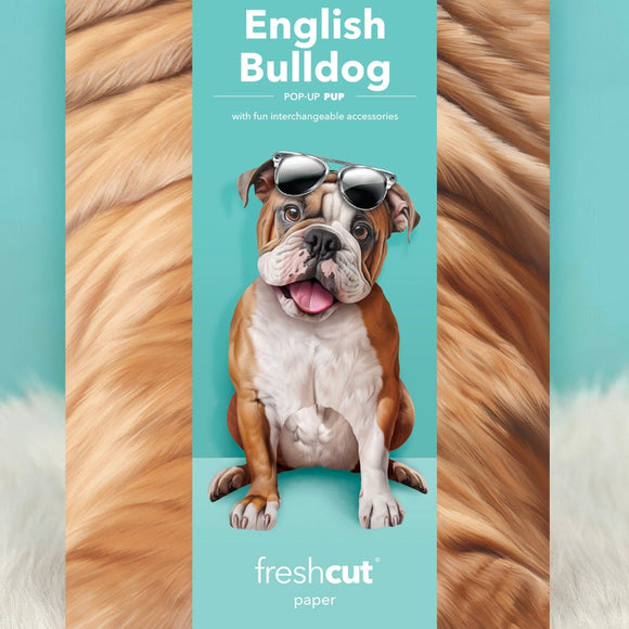 Fresh Paper Cut English Bulldog Card