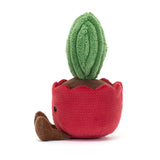 Jellycat-Amuseable Kerri Cactus Cote