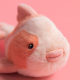 Jellycat - Carpe Fancy Carp - KO4C - Détail