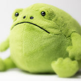 Jellycat Ricky Rain Frog Close Up