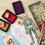 Kikkerland - Etampes - Anatomie - Lifestyle