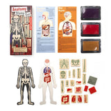 Kikkerland - Etampes - Anatomie -Ouvert 1