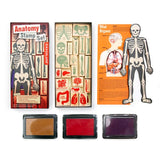 Kikkerland - Etampes - Anatomie - Ouvert 2