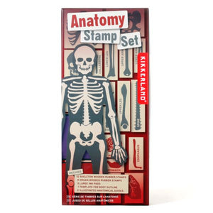 Kikkerland - Etampes - Anatomie