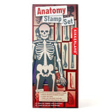 Kikkerland - Etampes - Anatomie