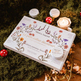 Mimi et August - Coffret automne