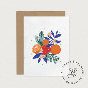 Mimosa Design Carte à planter Zeste Hivernal