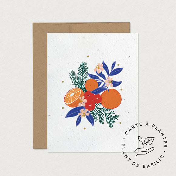 Mimosa Design Carte à planter Zeste Hivernal