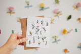 Mimosa Design-Cartes Ensemence Herbarium Lifestyle