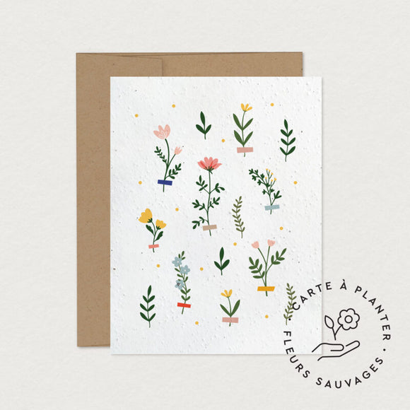 Mimosa Design-Cartes Ensemence Herbarium