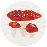 Now Design - Eponge compostable - Automne - Champignon
