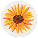Now Design - Eponge compostable - Automne - Tournesol