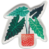 Now Design - Plat Let It Grow - Alocasia