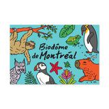 Paperole Carte postale Biodome De Montreal 5 Ecosystemes