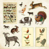 Peter Pauper Press - Livre D'Autocollants - Zoological Ephemera - Pages 4