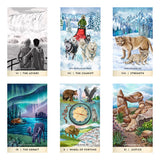 Raincoast-Jeux de Carte Tarot for the great outdoors cartes