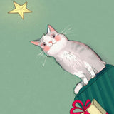 Valerie Boivin Carte De Souhaits Montagne De Cadeaux