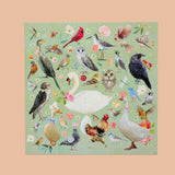 WerkShoppe - Casse-tete - Oiseaux