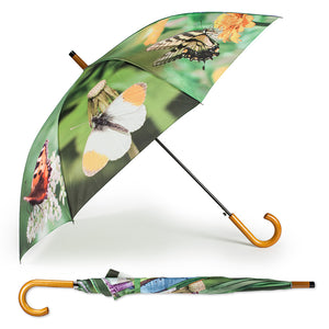 Abbott Parapluie Papillons