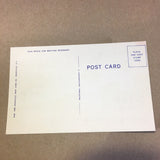 Carte Postale Papier Coton 40 Two Bucks And Five Scents